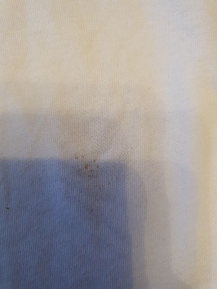 Tee shirt 5 ans - photo numéro 3