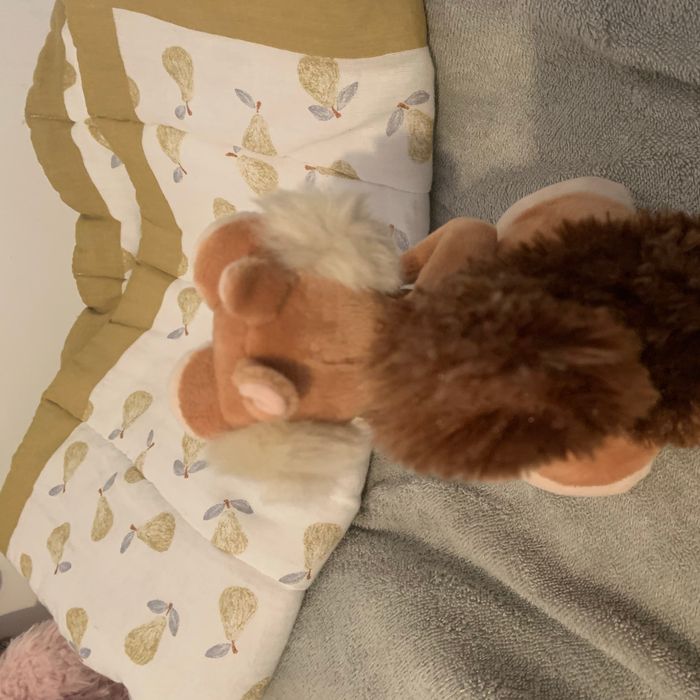 Peluche - photo numéro 3