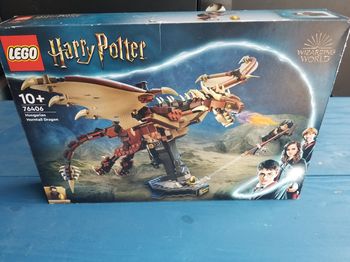 Lego Harry Potter 76406 Le magyar à pointes
