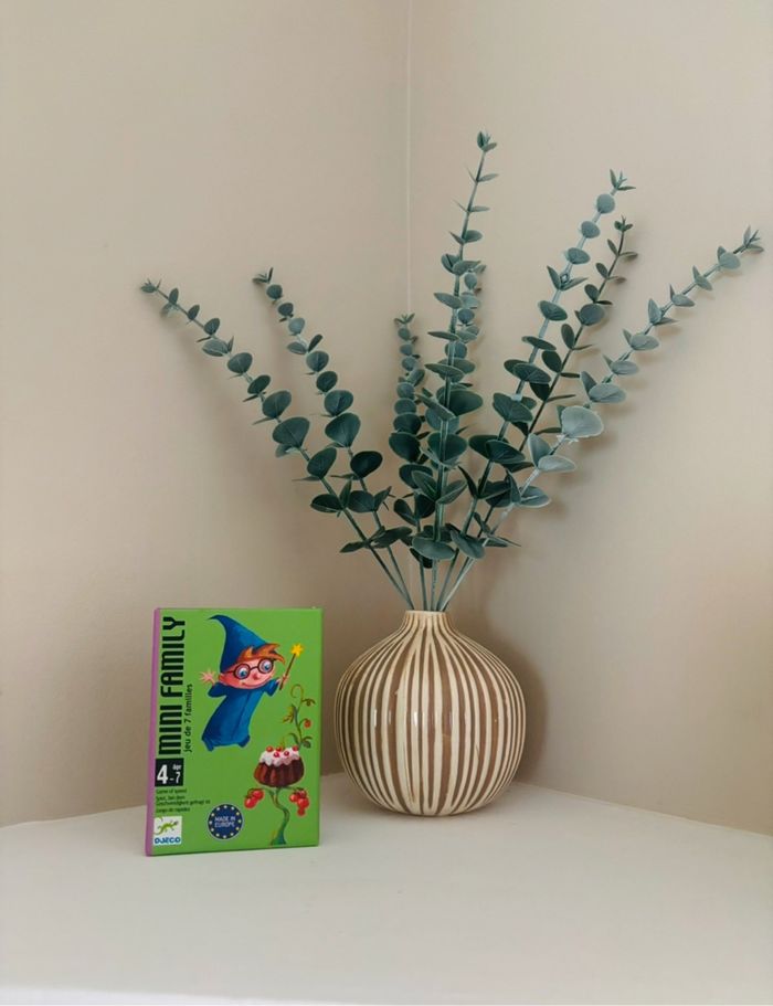 Jeu de cartes Family Djeco