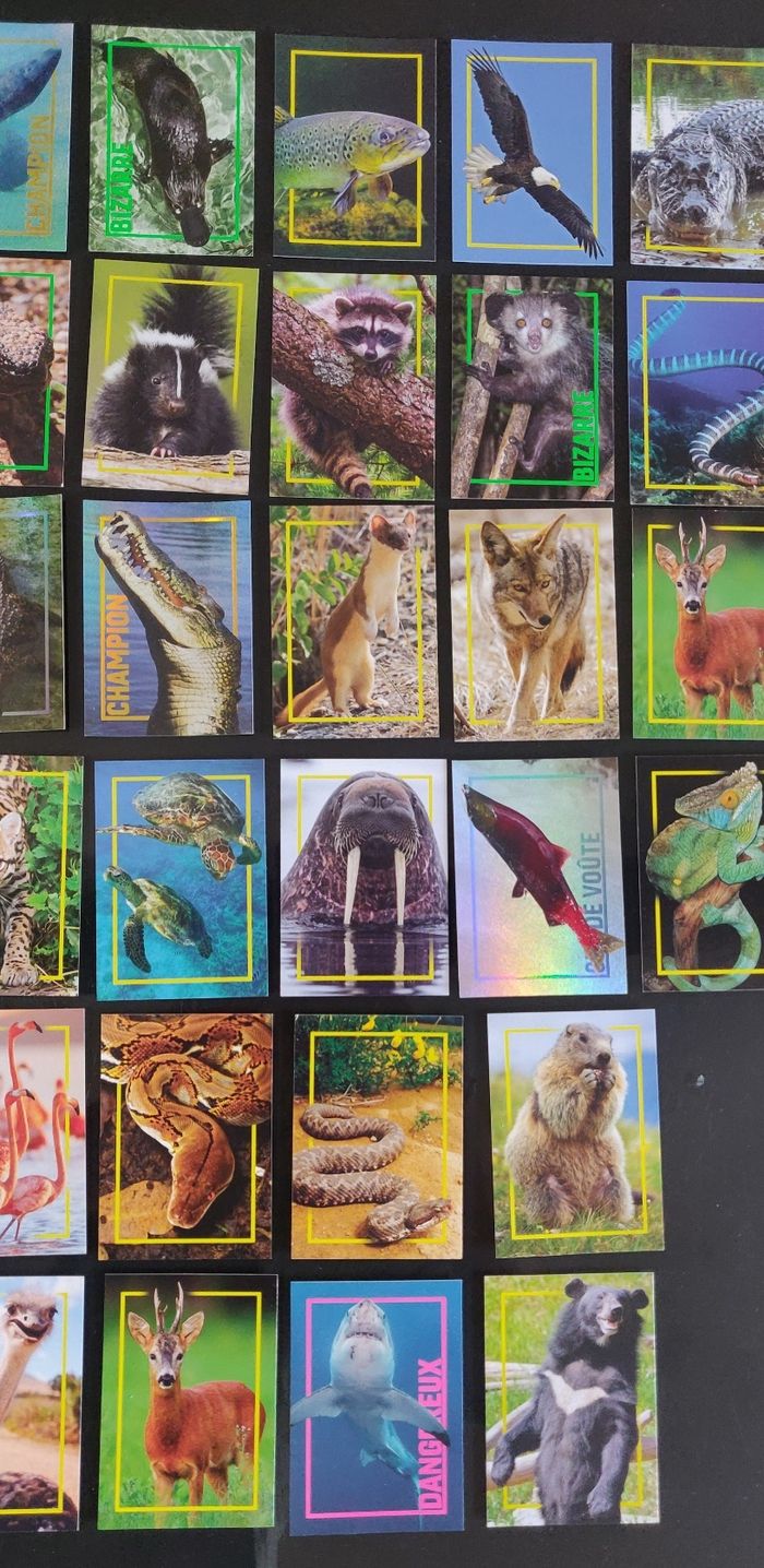 Lot classeur Incroyables animaux neuf + 64 cartes - photo numéro 4