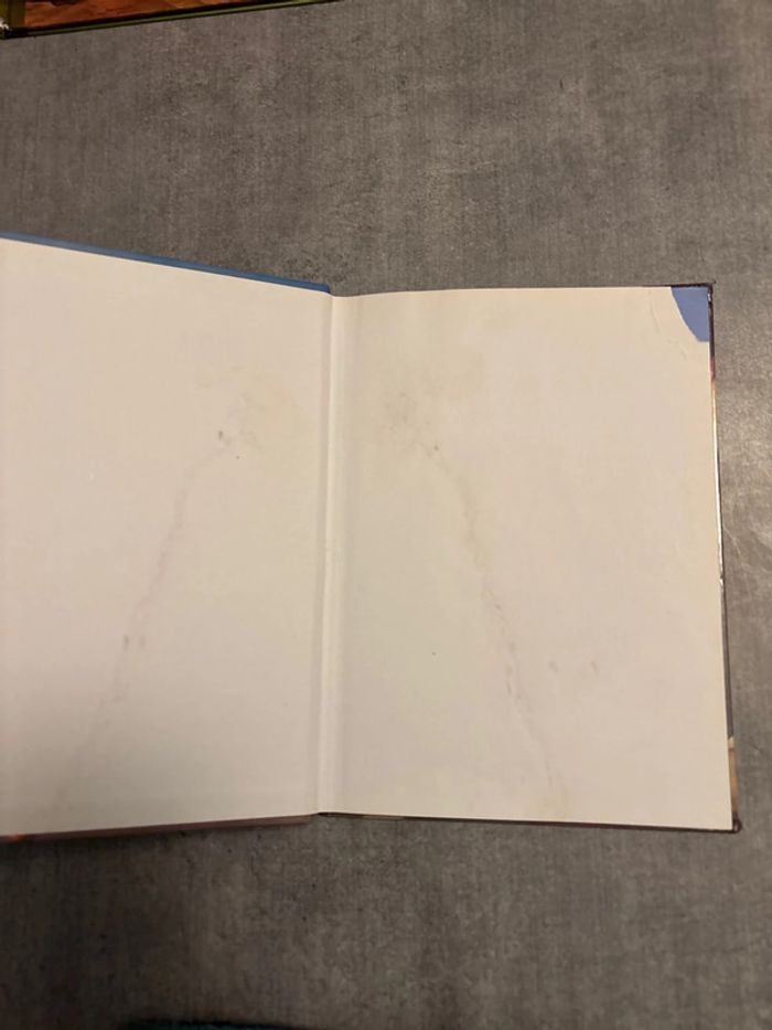 Livre Disney, chicken Little - photo numéro 2