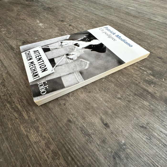Patrick Modiano - un pedigree - photo numéro 6