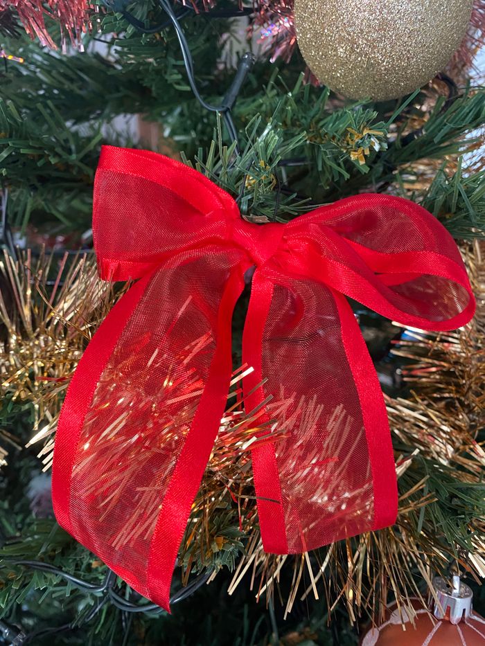 Noeud rouge - photo numéro 2