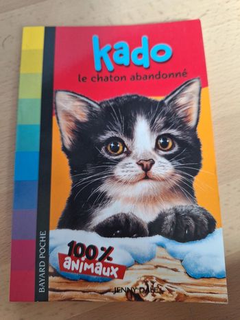 Kado la chaton abandonné