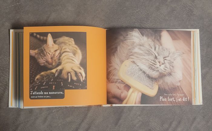 Tu peux pas comprendre, t'es pas un chat ! Alice Zabée, Aurélie Lemoine - photo numéro 3
