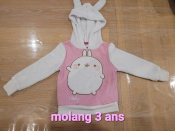 Sweat capuche molang 3 ans
