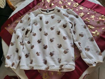 Pull des écureuils 12 ans