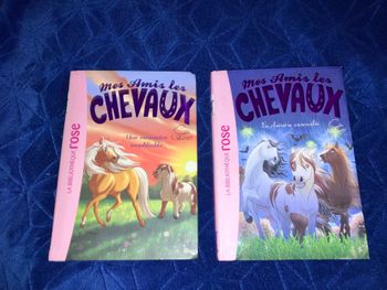 Livres 2 chevaux