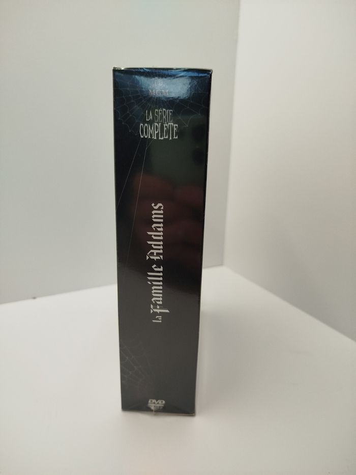 La famille Addams - Série TV - DVD - photo numéro 3