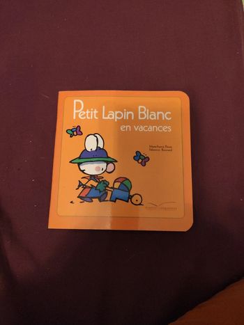 Petit lapin blanc en vacances