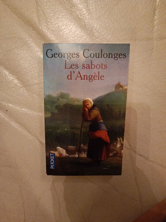 Livre les sabots d'Angèle