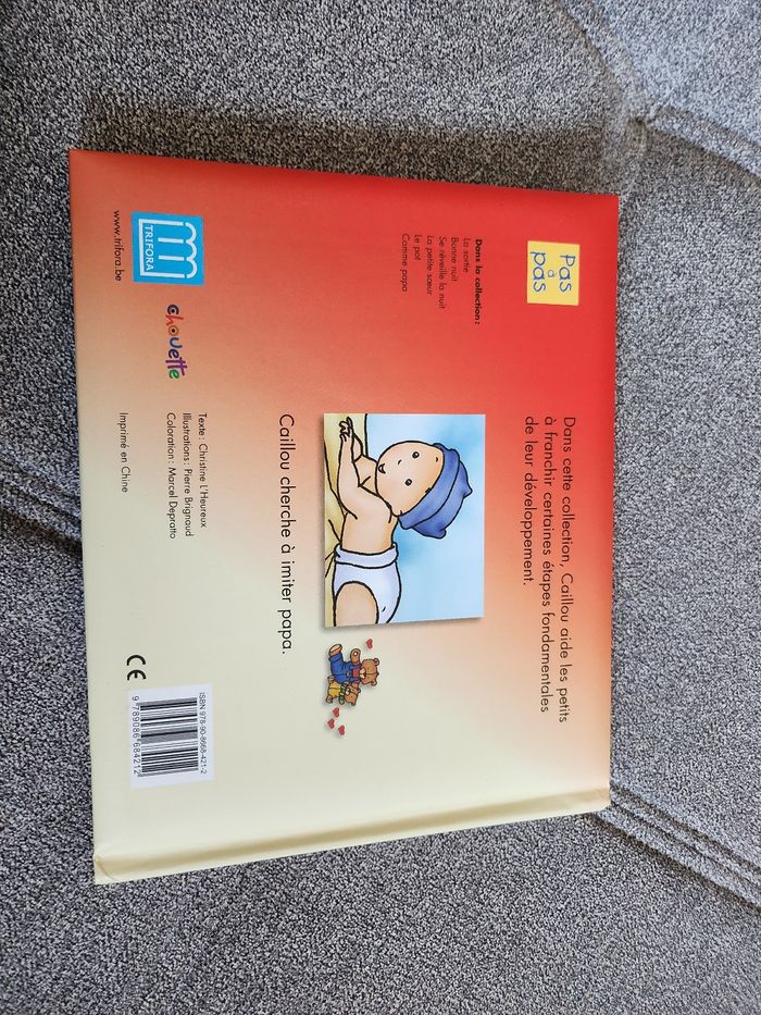 Livre caillou comme papa - photo numéro 3