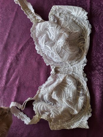 Soutien-gorge F15  blanc marque Bestform Taille 100E 