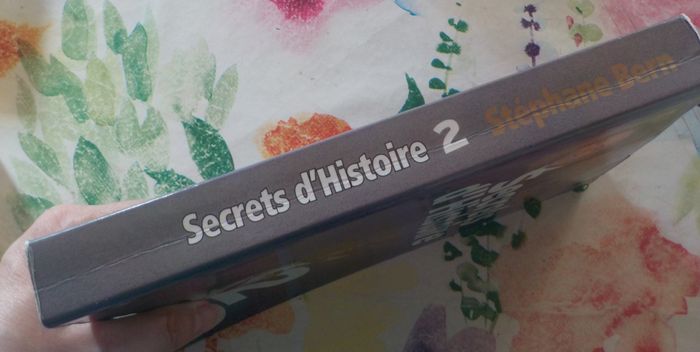 SECRETS D'HISTOIRE TOME 2 par Stéphane BERN Ed. France Loisirs - photo numéro 4