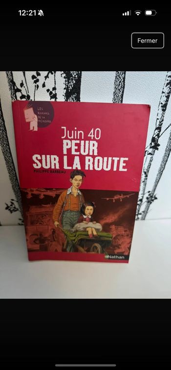 Livre Juin 1940 - peur sur la route
