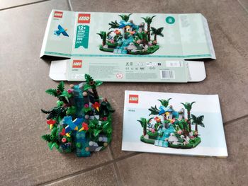 Lego 40782 forêt tropicale