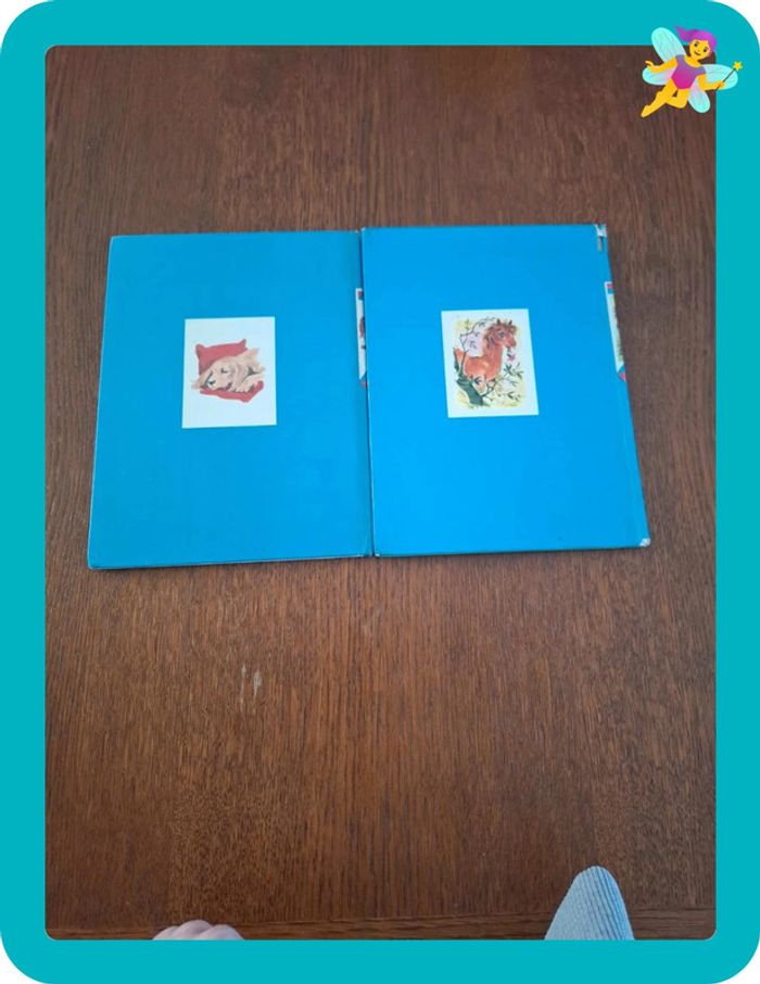 2 livres enfant - photo numéro 3