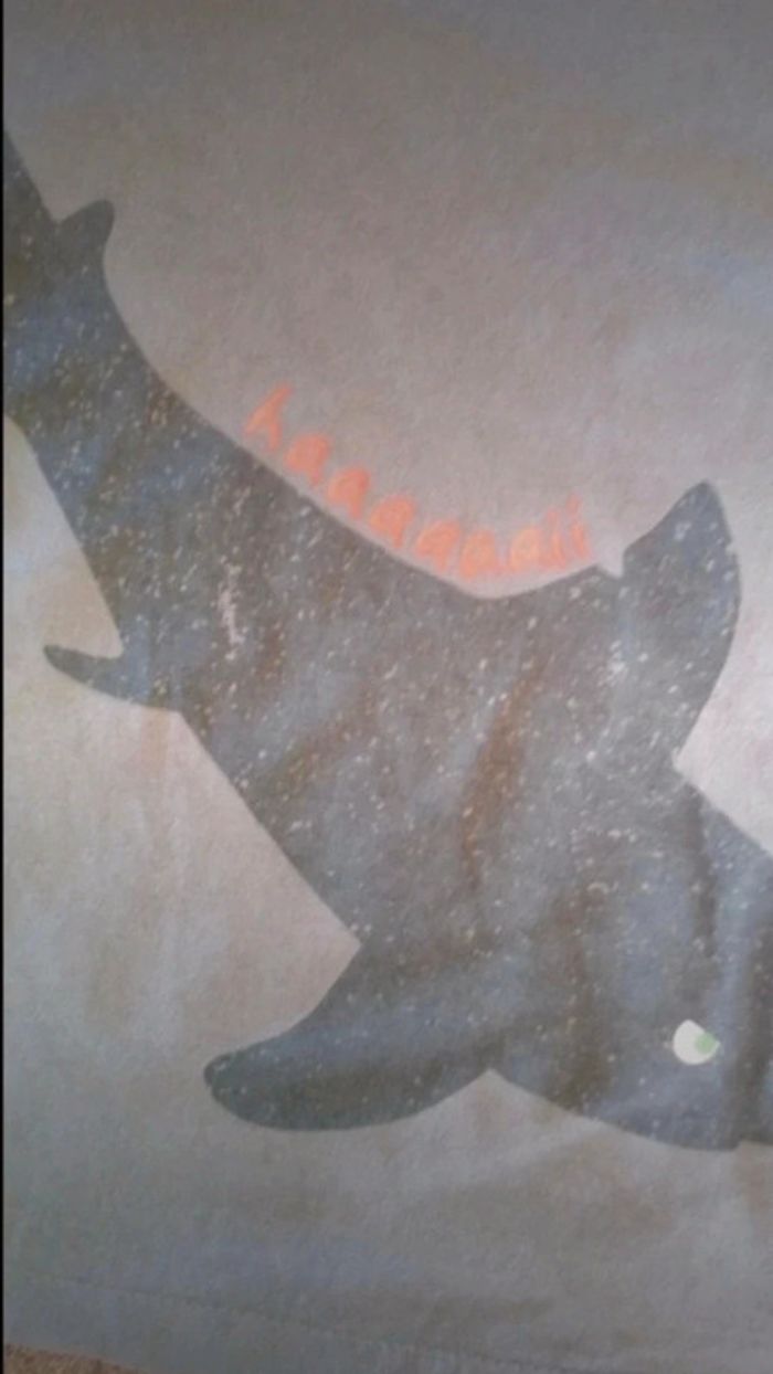 T shirts 18-24 mois - photo numéro 2