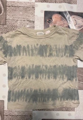 Tee shirt Zara 2 ans
