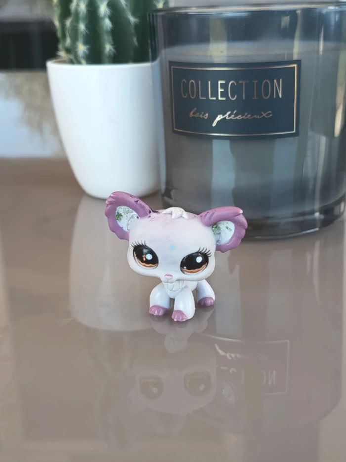 Littlest Pet Shop #1138 grey purple chihuahua dog