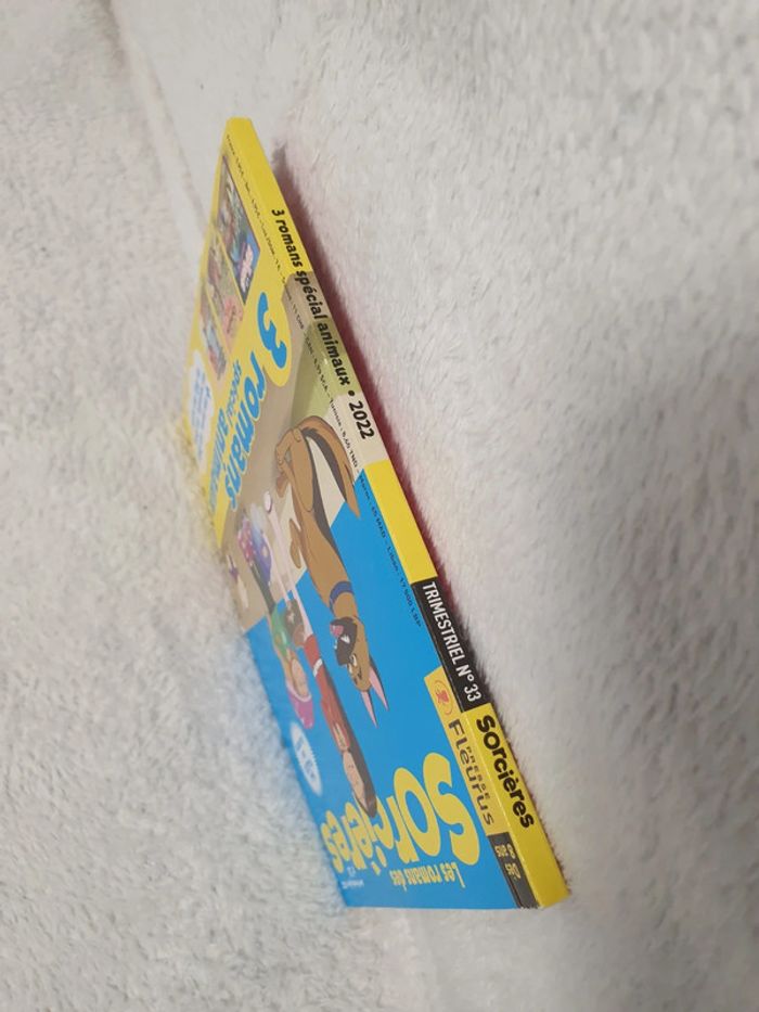 Livre Les romans des sorcières 2eme trimestre 2022 neuf - photo numéro 3