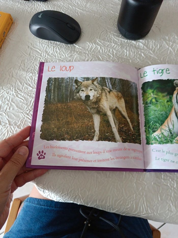 Livre les animaux Prédateurs - photo numéro 4