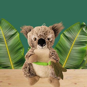 Peluche Koala 🐨