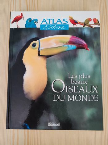 Les plus beaux oiseaux du monde 🦜