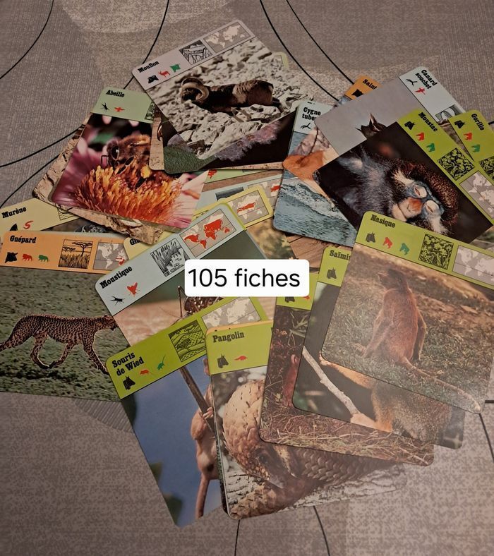 Fiches NEUVES instructives pour les enfants *Atlas* - photo numéro 5