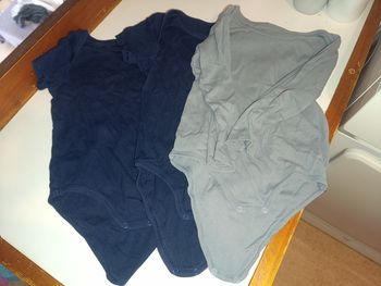 Lot 3 bodies 