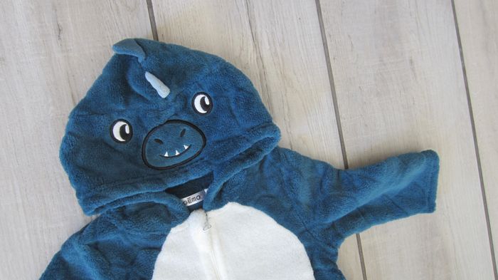Surpyjama/combinaison a capuche (intérieur ou extérieur) - photo numéro 3