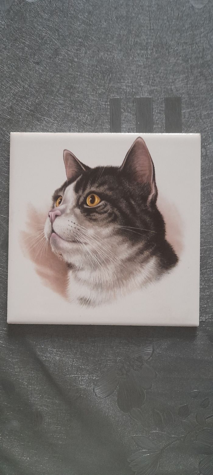 Déco chat