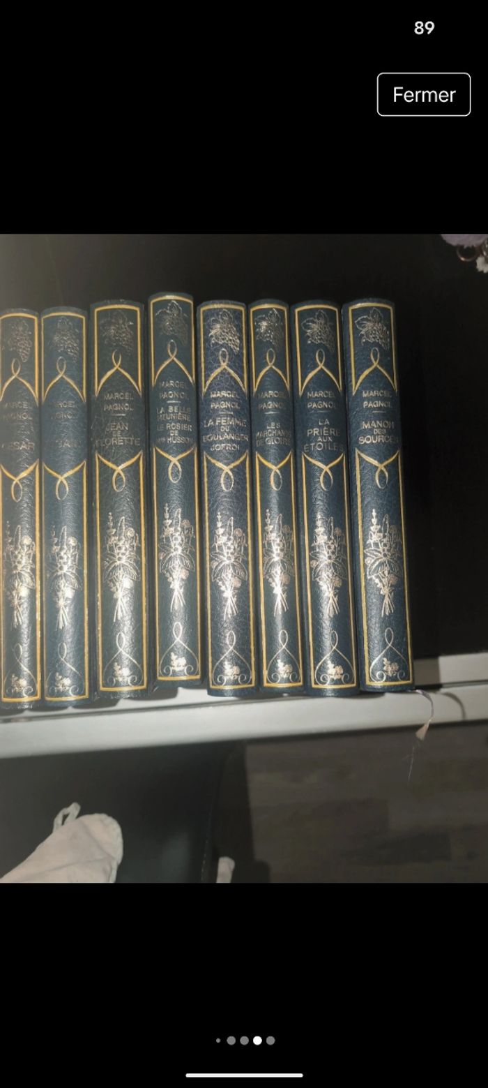 24 volumes Marcel Pagnol - photo numéro 6