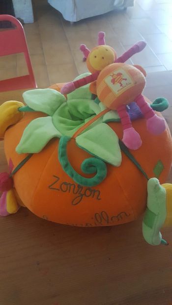 Citrouille d activité Moulin Roty