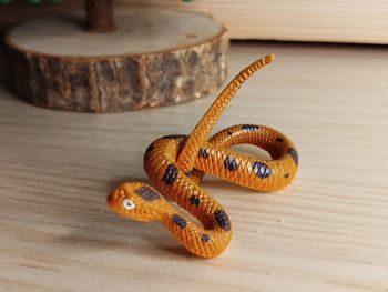 Figurine serpent Orange et marron Animal de la savane