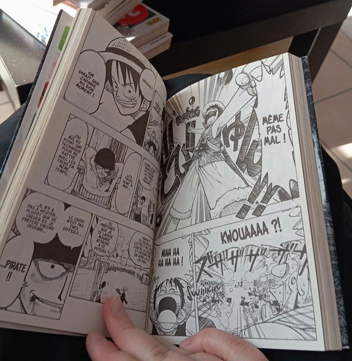 One piece tome 1 - photo numéro 7