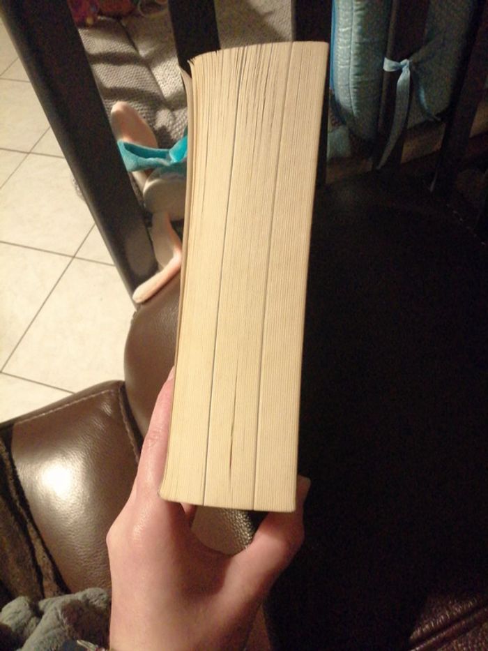 Nous les seznec - photo numéro 4