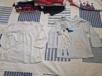 2 tee-shirts 18mois
