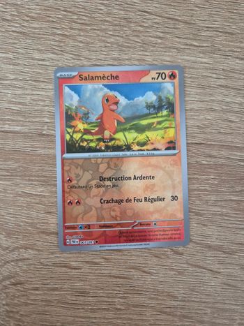 Salamèche Destinées à Paldea 