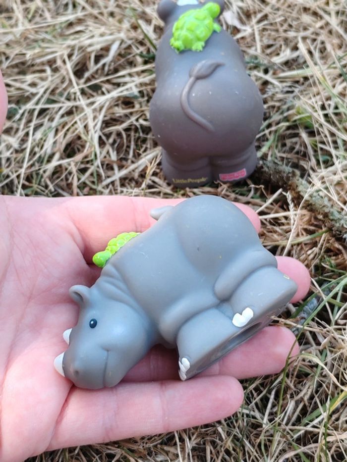 Couple rhinoceros little people - photo numéro 5