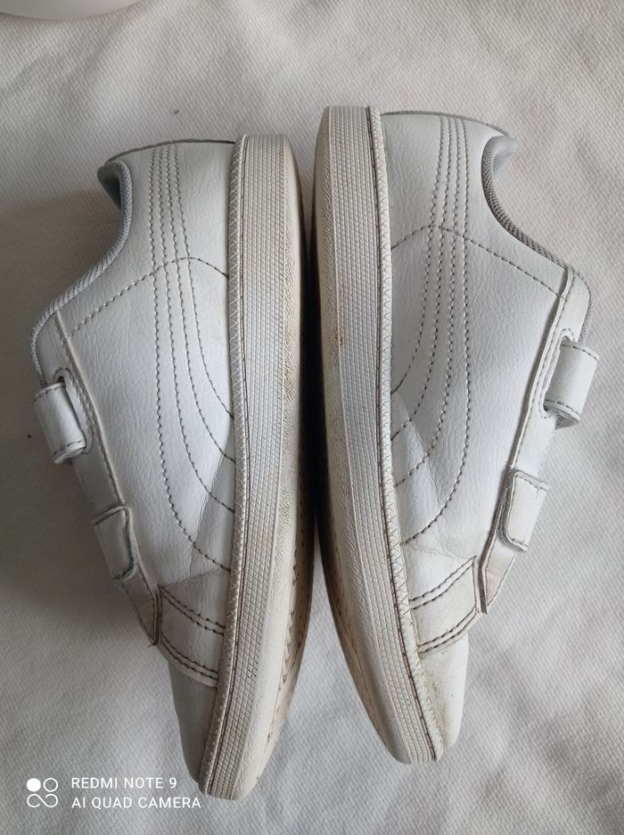 Puma à scratch - photo numéro 8
