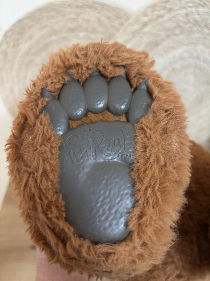 Peluche interactive l ours cubby fur réal Friends hasbro - photo numéro 4