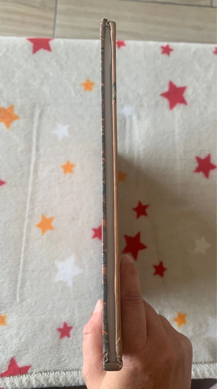 Alésia- Roma Ab Urbe Condita - photo numéro 4