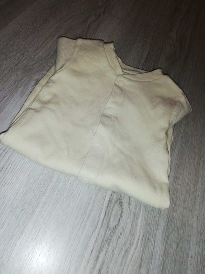 Pygama fin zeeman - photo numéro 2