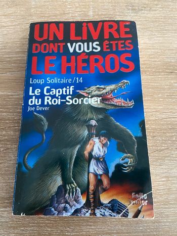 Le captif du roi sorcier un livre dont vous êtes le héros