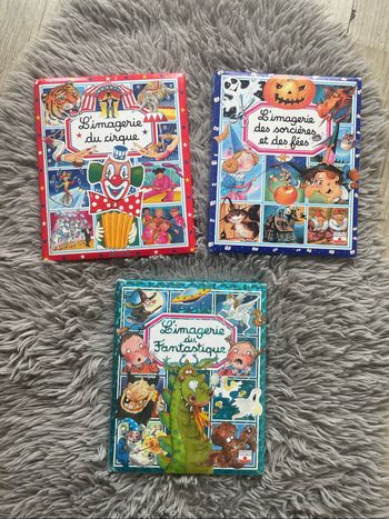 Lot de 3 livres L’imagerie - Fleurus