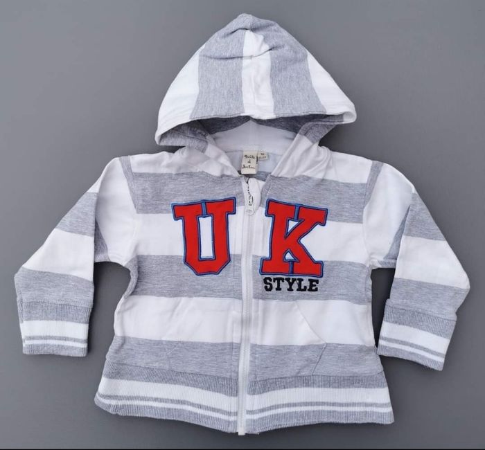 Lot de 6 gilets sweat zippés à capuche 12 mois garçon - photo numéro 7