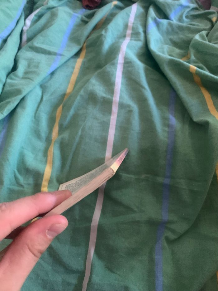 Les inséparables et la momie interdite - photo numéro 6