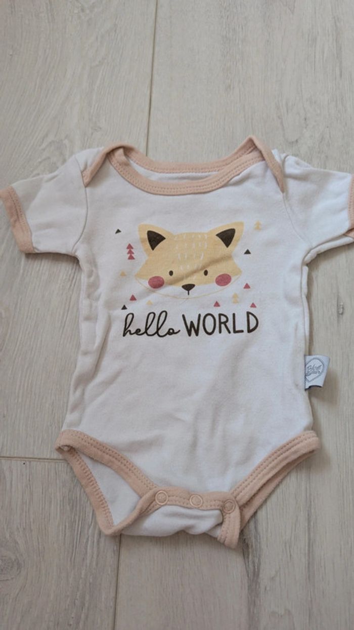 Lot de 2 bodies manches courtes - photo numéro 3